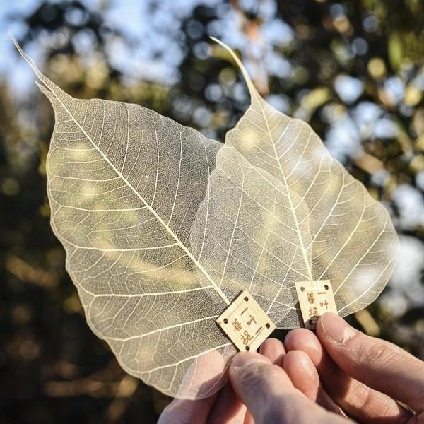 [차거름망] 천연보리수잎 차거름망 (3장 세트구성)