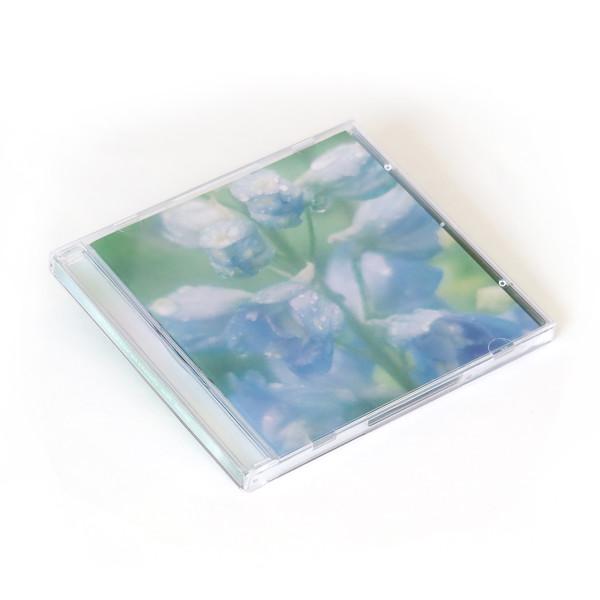 잎사귀와 나비의 음향 ambient music CD