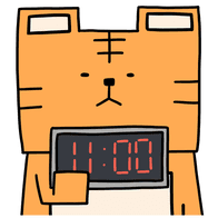 매일11시