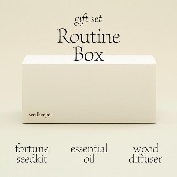 [선물 세트] 루틴 박스 (운세 씨앗키트+에센셜 오일+우드 디퓨저)