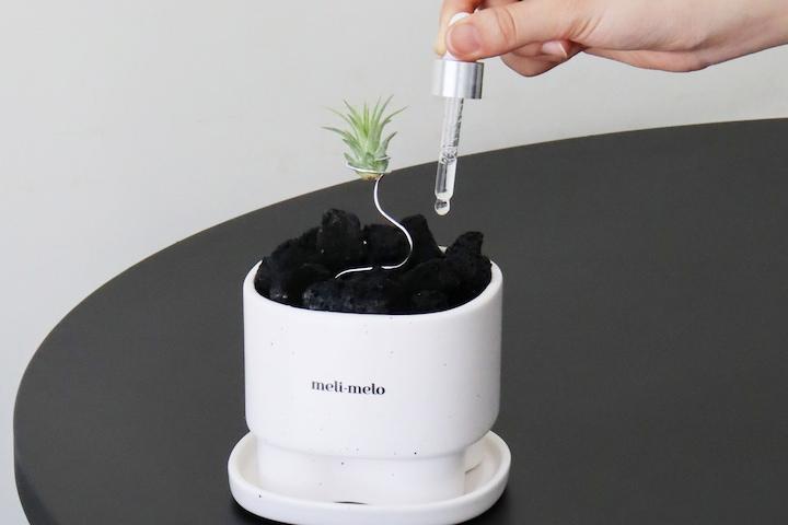 집들이 선물 실내 방향제 스톤 디퓨저 작은정원