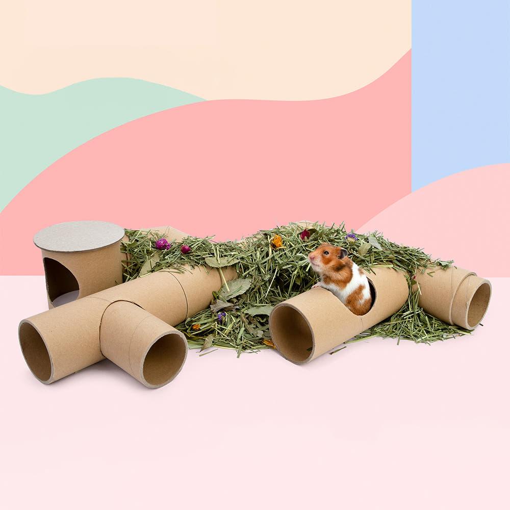 나이트엔젤 골든햄스터터널 세트