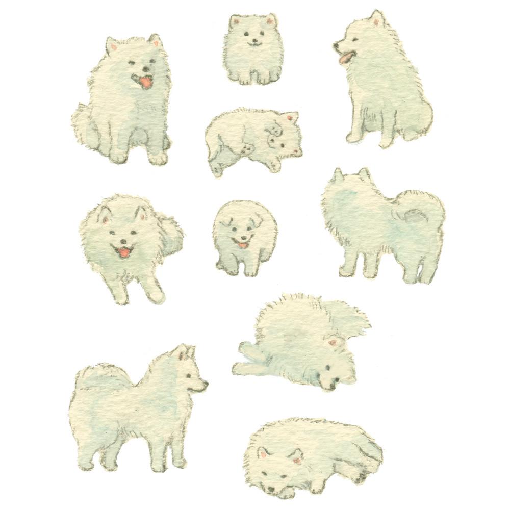 [은민] 사모예드 스티커