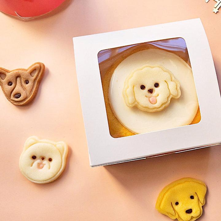 담무 수제간식 데코 쿠키 선택 너를닮은 반려켠 케이크