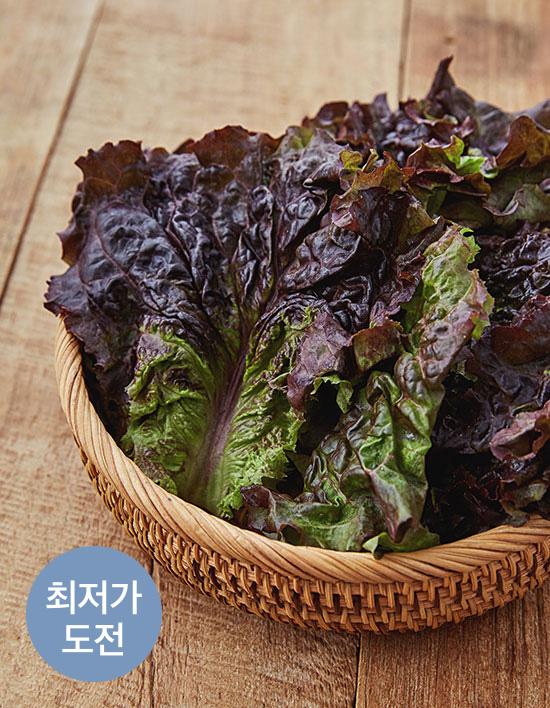 [KF365] 적상추 150g