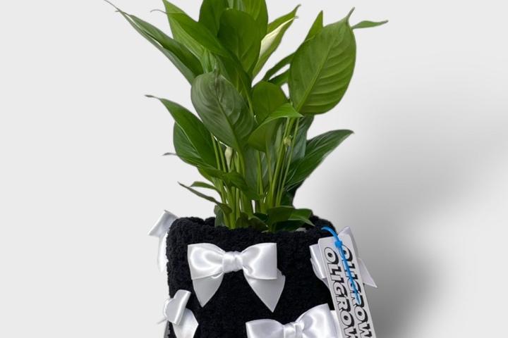 리본팟 화분커버 식물추가 가능