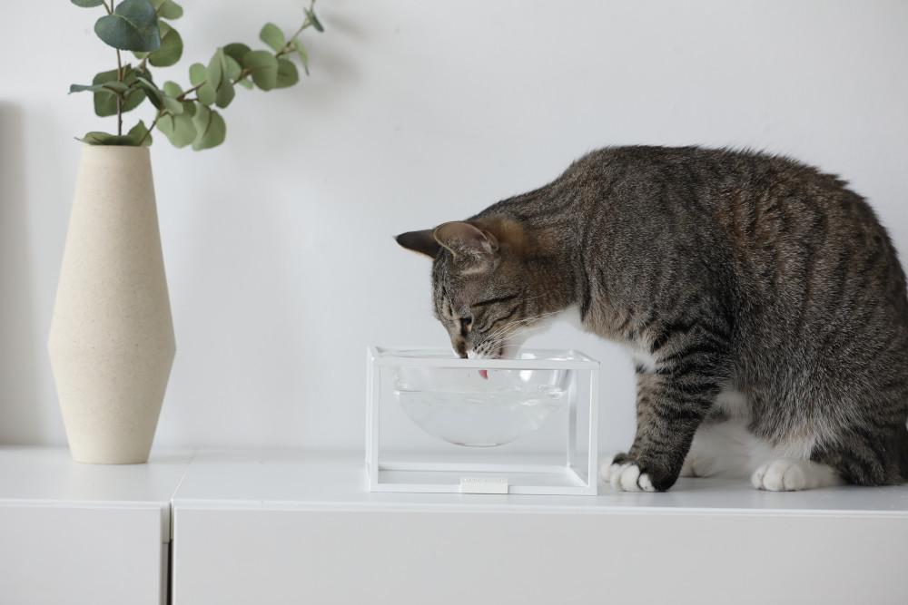 스튜디오얼라이브 달빛식기1 S10