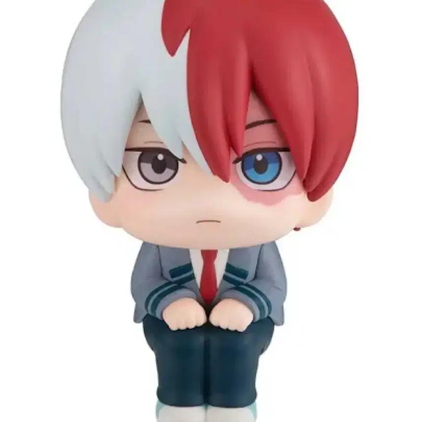 토도로키 쇼토 룩업 미개봉 양도합니다