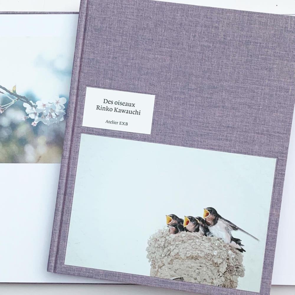 [린코 가와우치] [Rinko Kawauchi] - Des Oiseaux (The Birds)