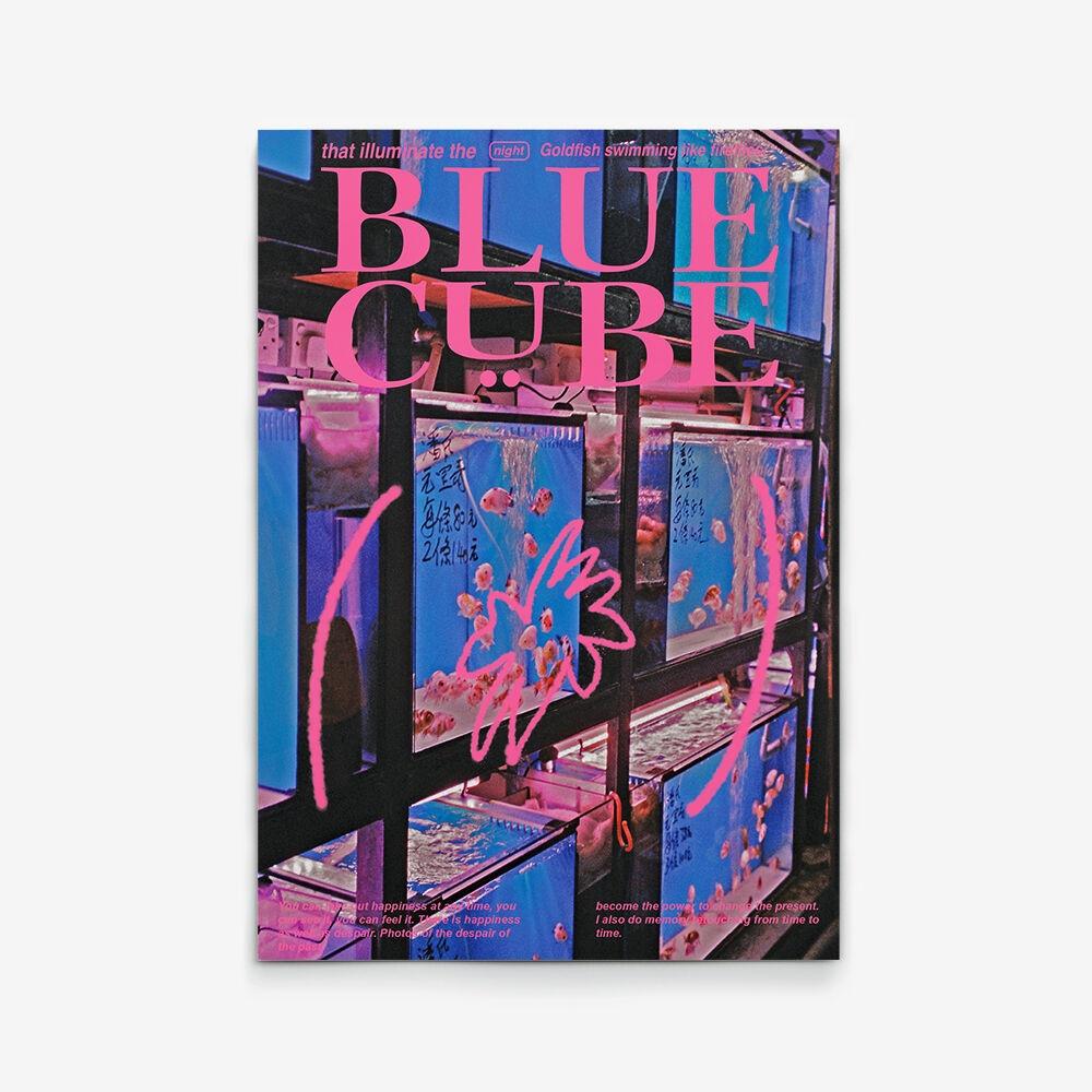 Blue Cube - 홍콩 대만 물고기 금붕어 포스터 인테리어포스터 대형 사진 액자