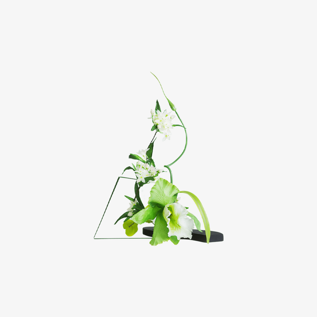 [Harvest Gift] 타임리스 플라워 - 클래식 튀튀