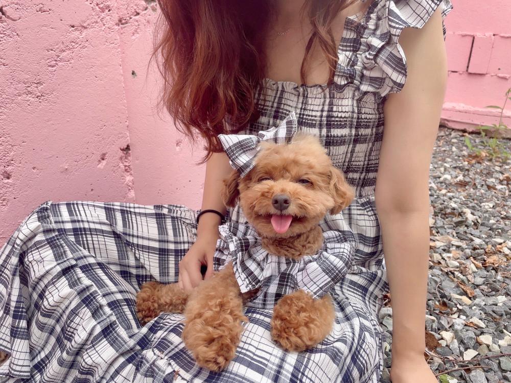 (DOG) 바캉스 체크 스모크 원피스 강아지옷 크롭 프릴 나시 여름옷 애견의류 커플룩