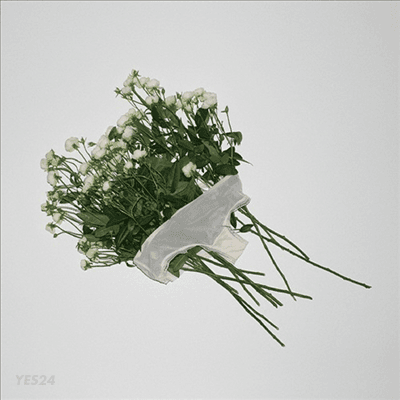 Aimyon (아이?D) - 生きていたんだよな (CD)