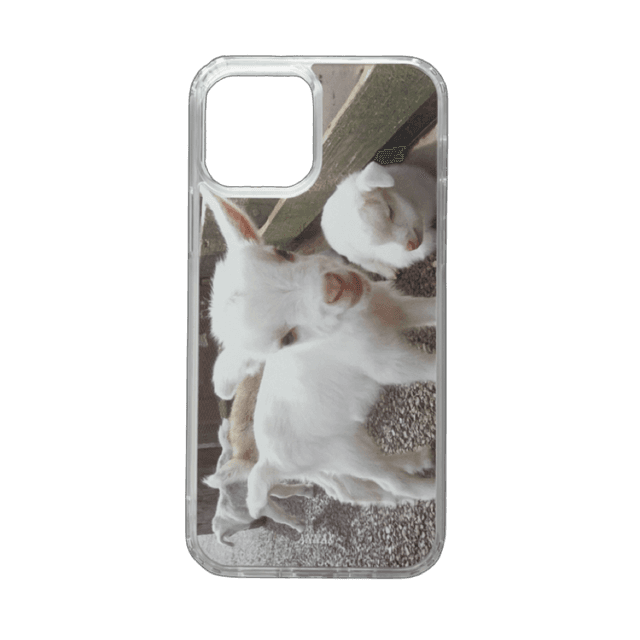 little baby lamb jelly case