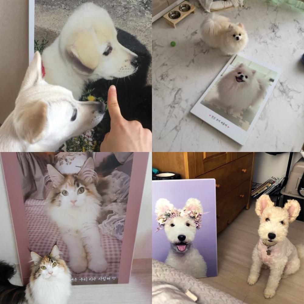 오홀리브 좌식 다용도 밥상 작은상 미니밥상 주문제작