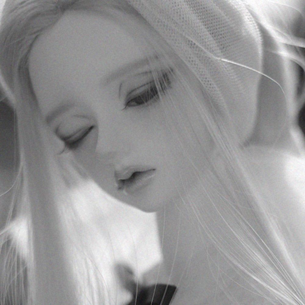 시크릿 로젤린 (2025/05/16 ~ 06/09)