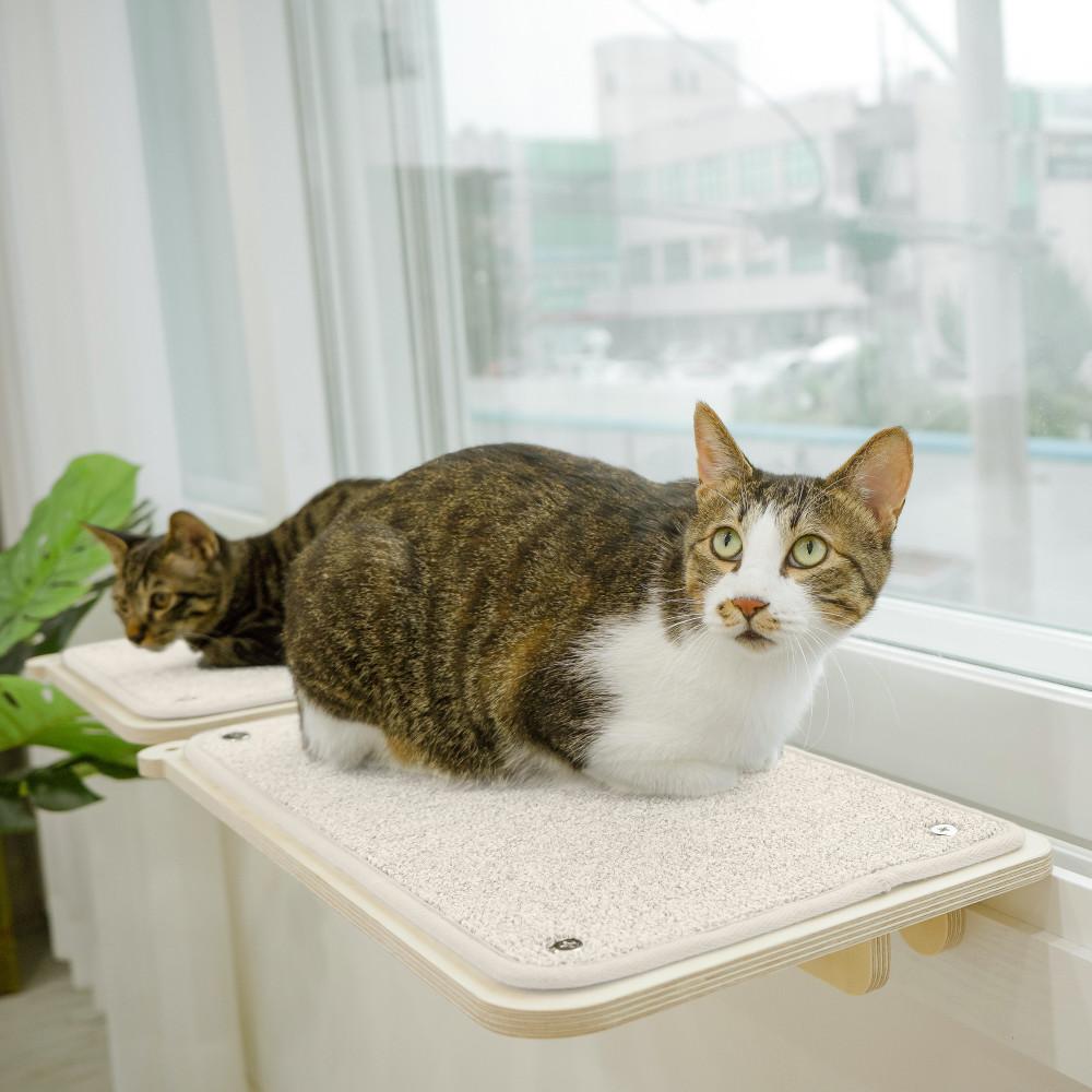 캣돌 냥틀 고양이 뚱냥이 원목 창문 창틀 해먹 침대 윈도우 창문형 3color