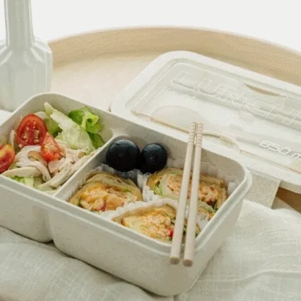 친환경 비건 소풍 도시락통 직장인 다이어트 피크닉 런치박스