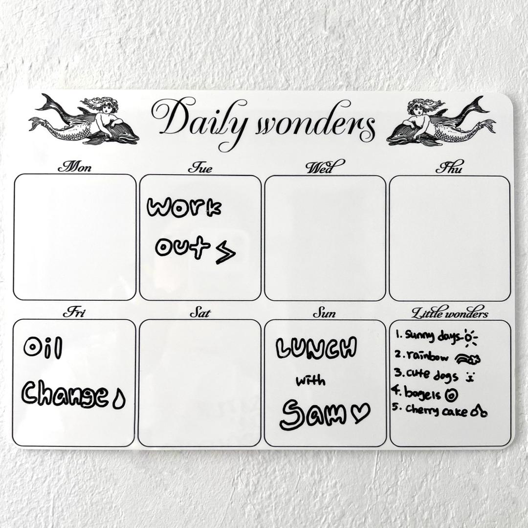 데일리 원더스 플래너