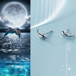 이루카 은귀걸이 [925 silver 행운의 바다 돌고래 실버 귀걸이] - 2차재입고