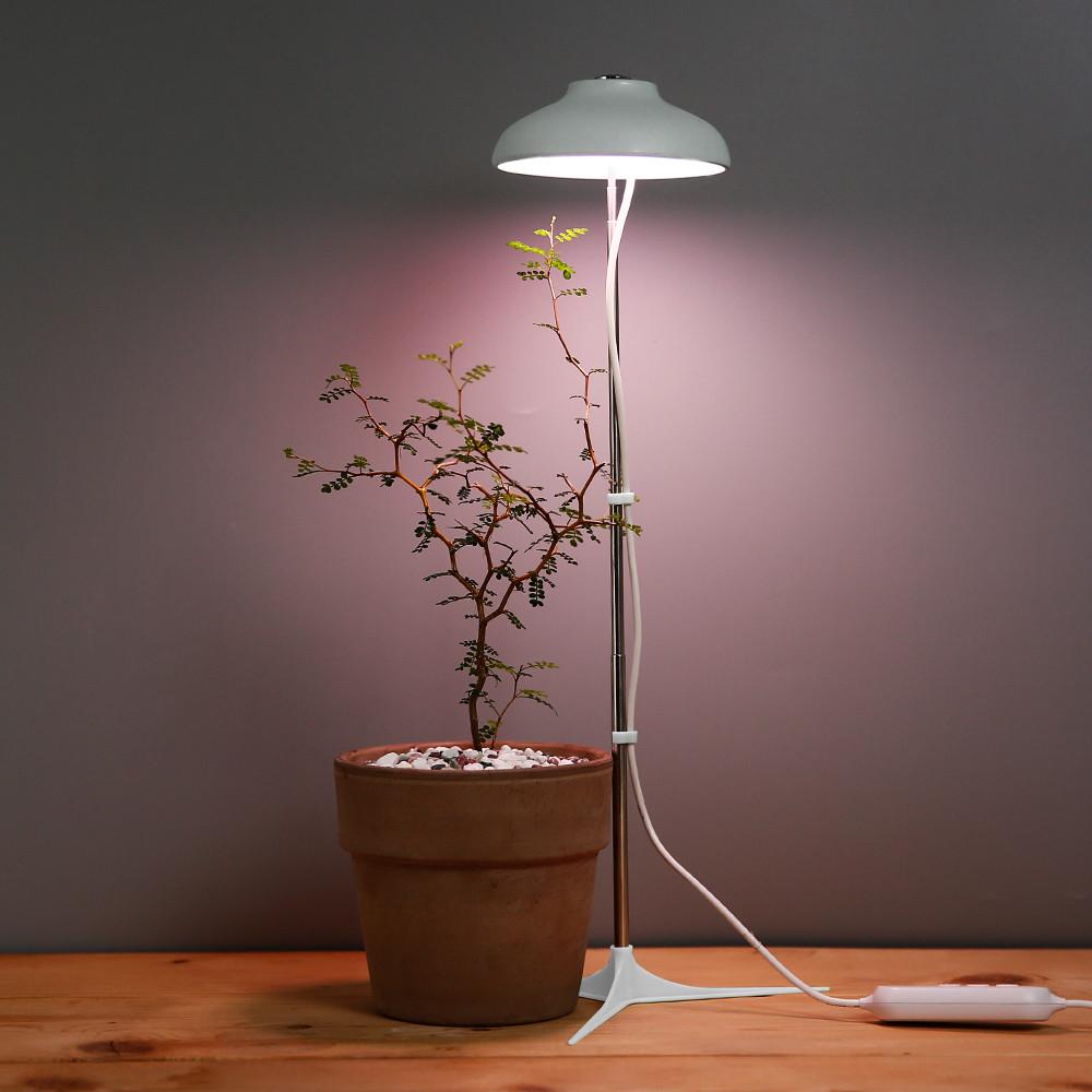 데팡스 식물등 생장 성장 식물 LED 식물조명 스탠드형 일반화이트