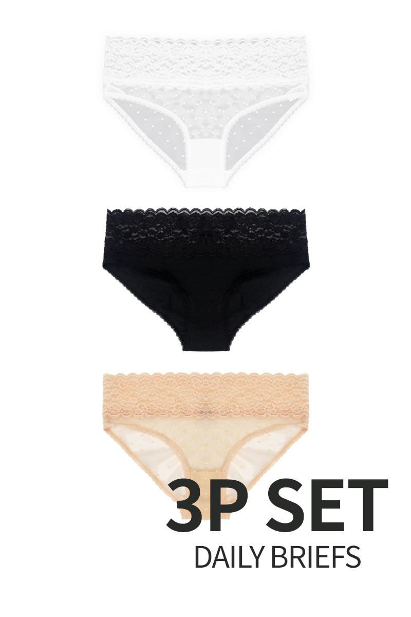 Daily Briefs 3 Packs (데일리 브리프 3팩)