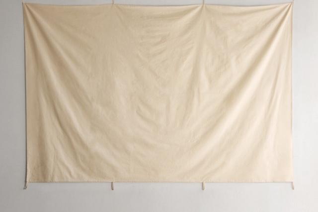 블랭크 광목원단 빔 프로젝터 스크린