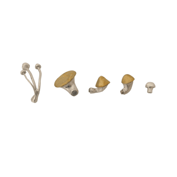 [혜괴] 버섯 마그네틱 5종