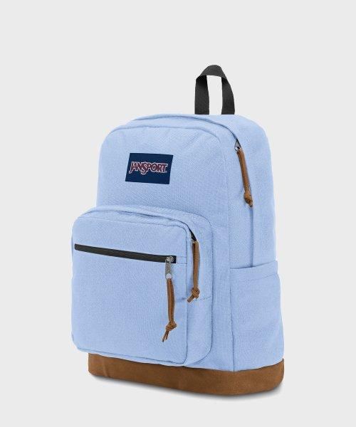 라이트팩 HYDRANGEA