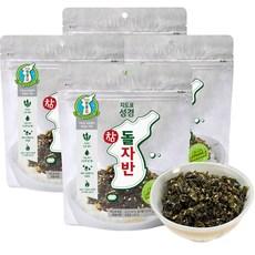 지도표성경 참돌자반