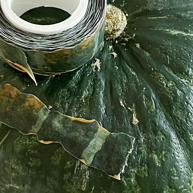 [자그네]autumn squash masking tape