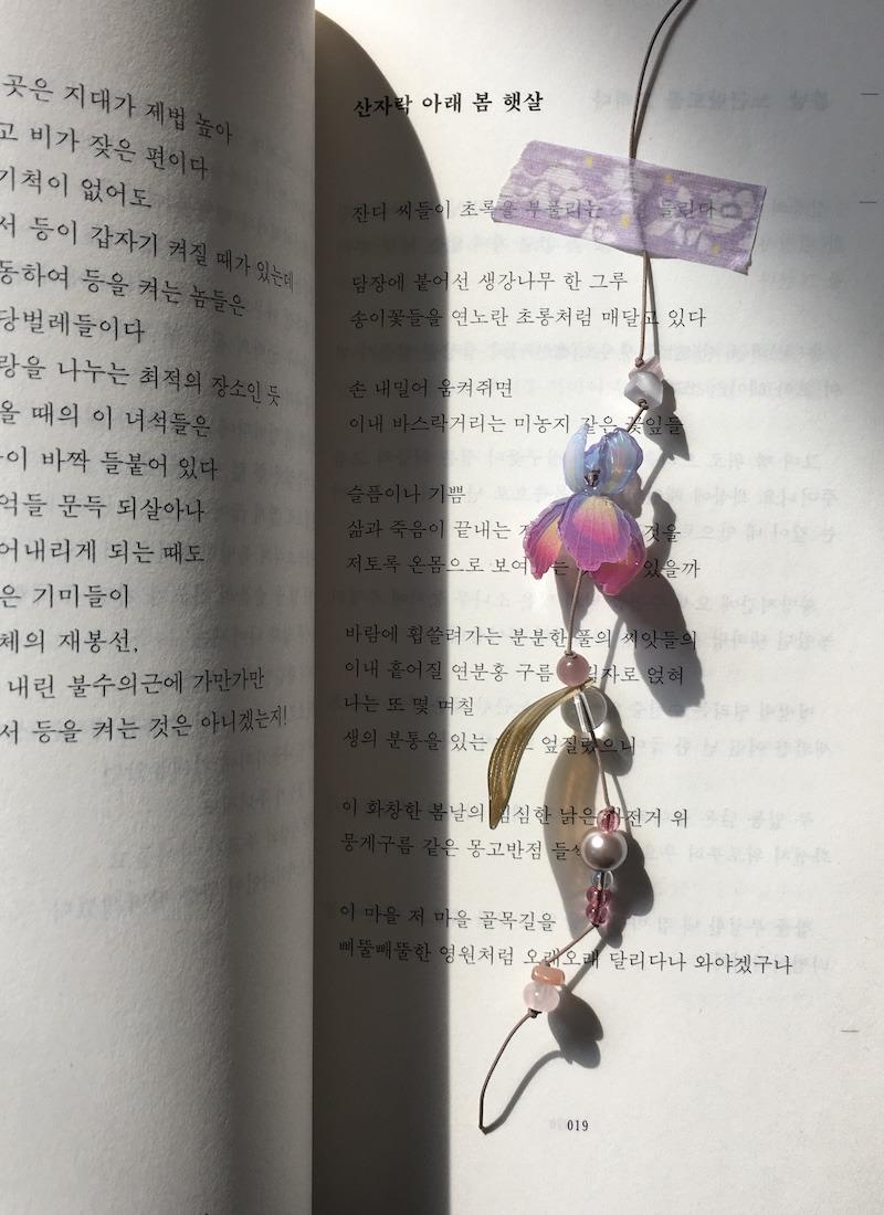 붓꽃 끈갈피