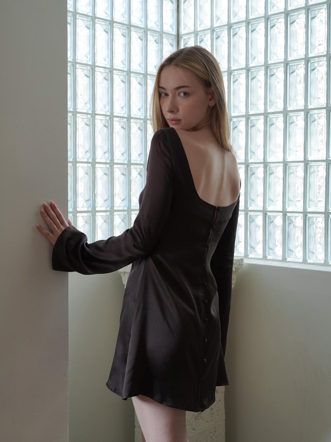 BUTTON-BACK BROWN SILK DRESS