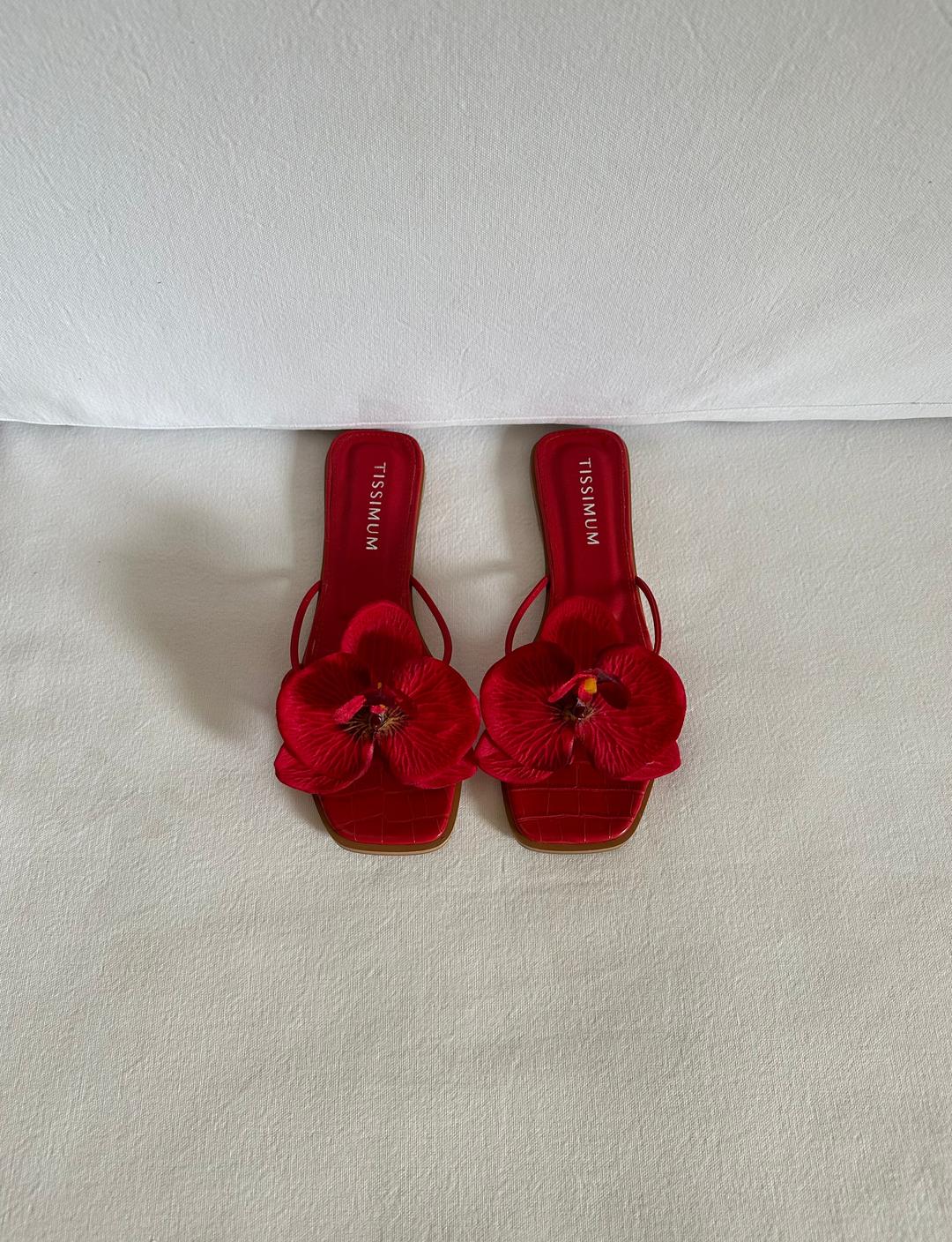 Orquídea Sandal Red