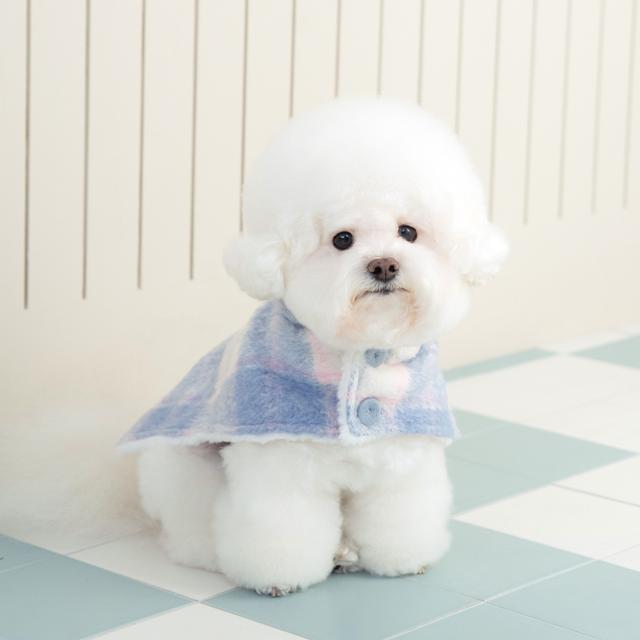 티오리오 마카롱 베어 코트 (블루)