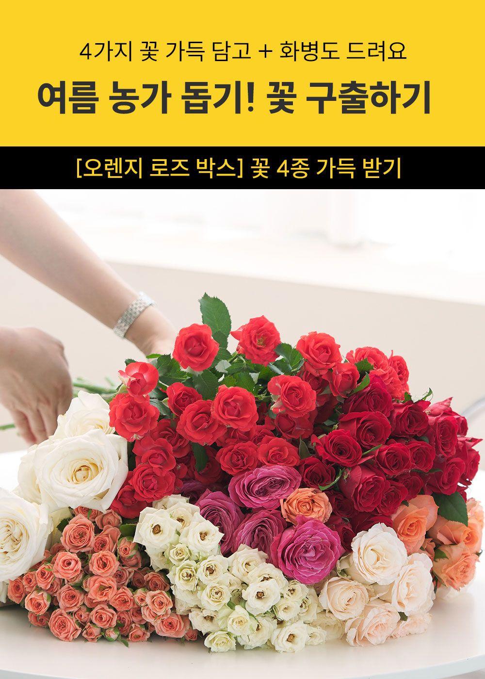 ★ [여름 농가 꽃 구출] 꽃 4종 꽉 채워받기 & 화병도 증정(29명 남음)
