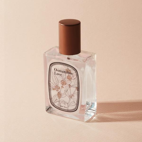 osmanthus love | 금목서