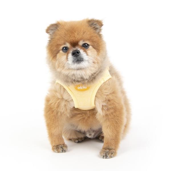 허그하네스 (OAUA-HQ6108)