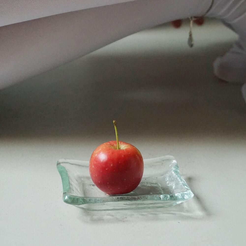 umool collection tray