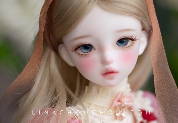 ［Limited］Forever in Bloom , Iberis : 이베리스