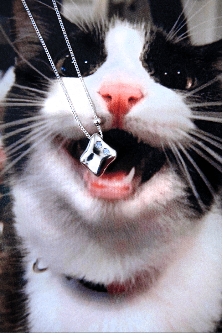 Cat Tooth gem Necklace