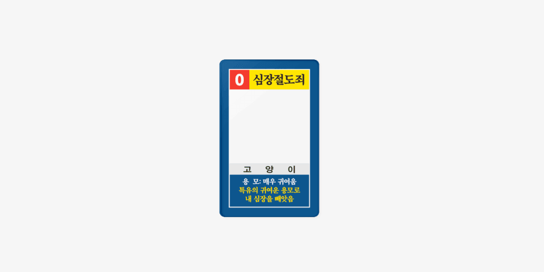 현상수배 고양이 포토카드