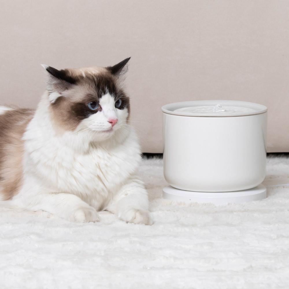 웰리 정수기 강아지 고양이 스마트 정수기 웰리