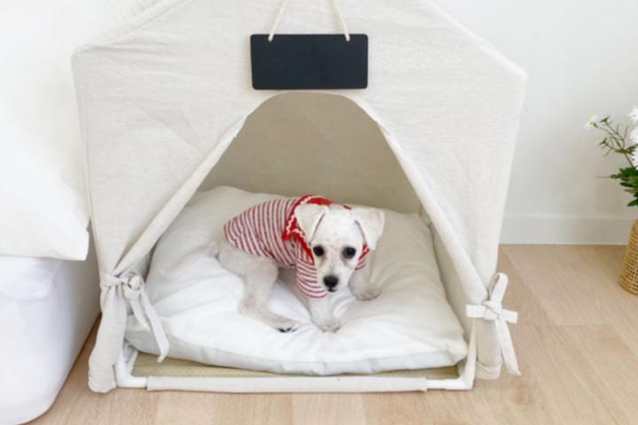 강아지 텐트 집 고양이 숨숨집 예쁜 하우스 개 애견 M L