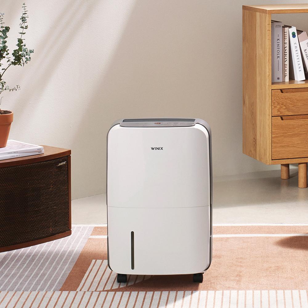 위닉스 뽀송 제습기 10L (DXAE100-JWK)