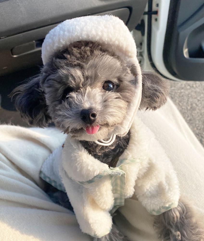 오구오구 강아지옷 골덴모자 S