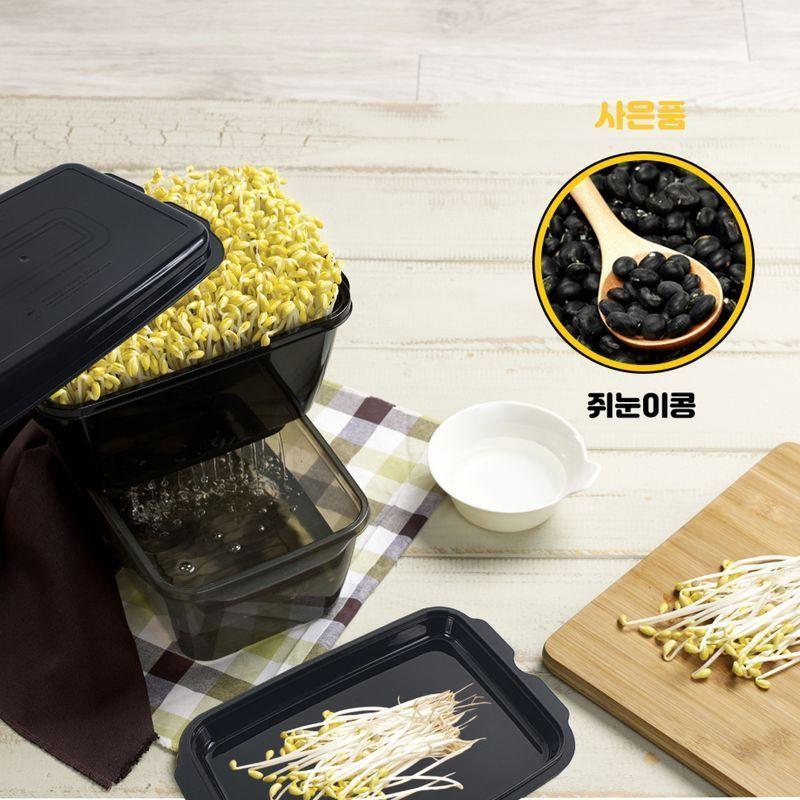 이지앤프리 집에서 콩나물키우기 세트 + 쥐눈이콩 포함