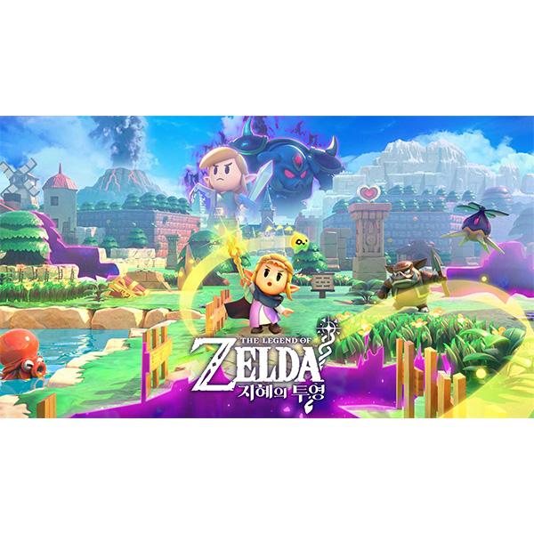[DL][스위치] 젤다의 전설 지혜의 투영