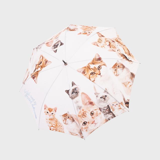 Odd Cat Umbrella - 2Types