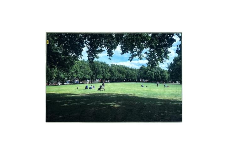 London green park, landscape rug